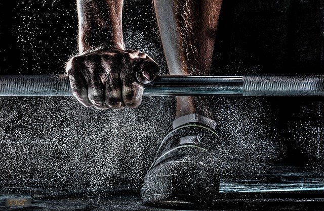 gym wp theme