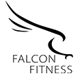 light logo
